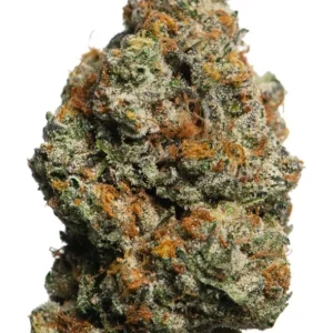 BISCOTTI STRAIN
