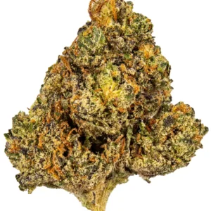 CHEMLATO STRAIN