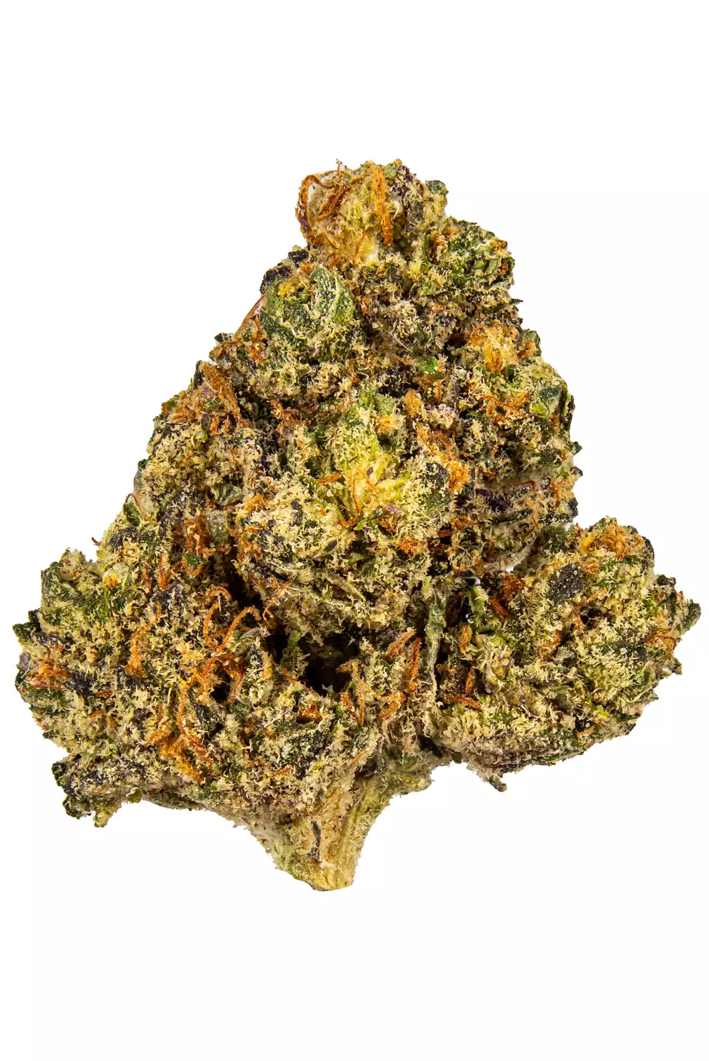 CHEMLATO STRAIN