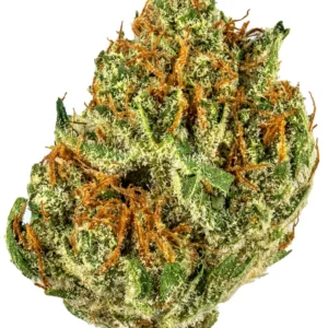 CREAMSICLE STRAIN